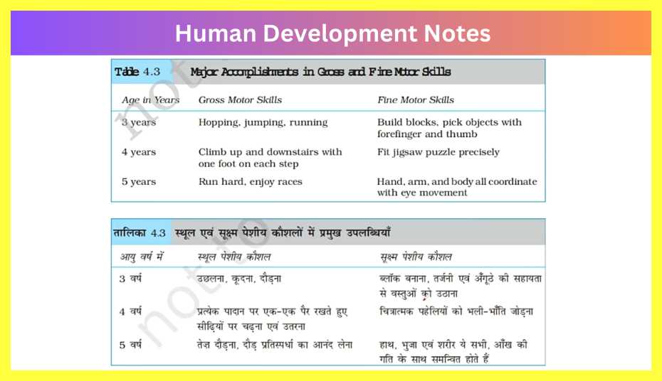 Human-Development-Notes-in-Hindi