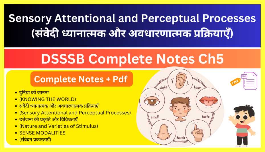 Sensory-Attentional-and-Perceptual-Processes-Notes-in-Hindi
