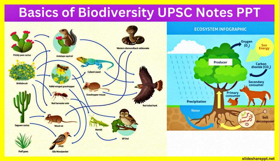 Basics-of-Biodiversity-UPSC-Notes-PPT